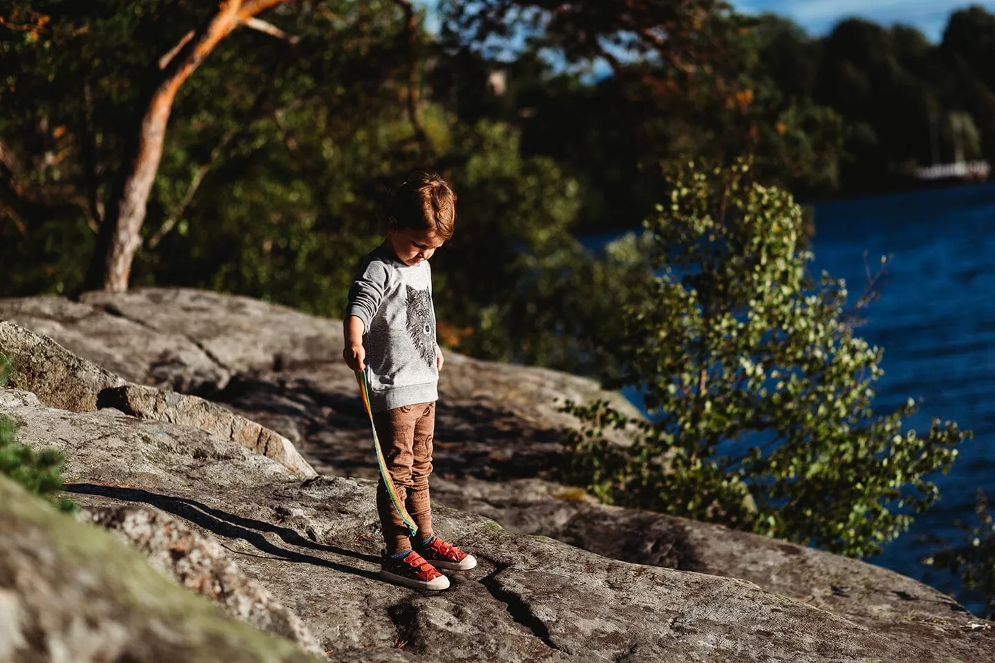 Kids Jumper Gift Set | Stag & the Wolf