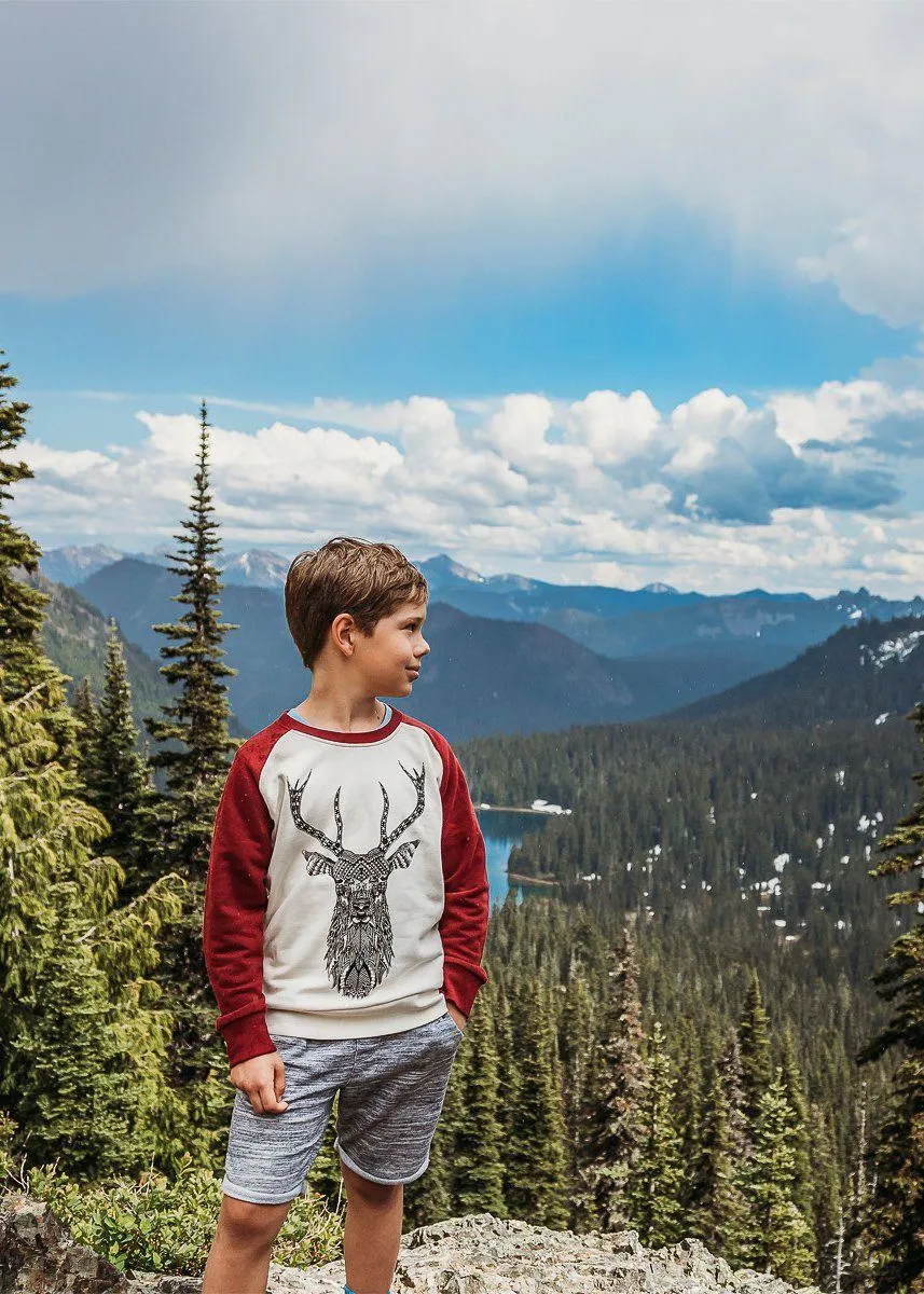 Kids Jumper Gift Set | Stag & the Wolf