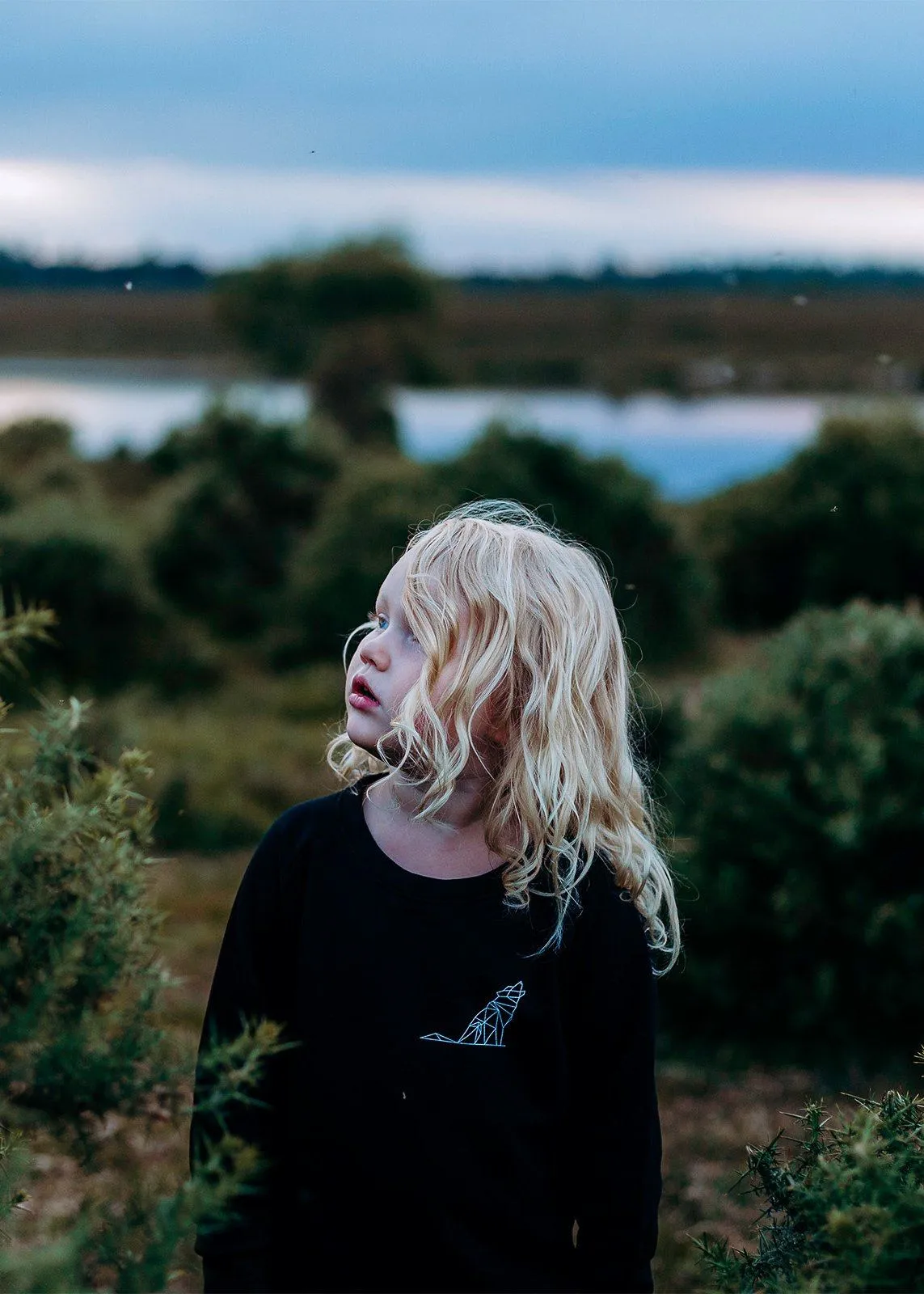 Kids Jumper Gift Set | Whale & the Wolf