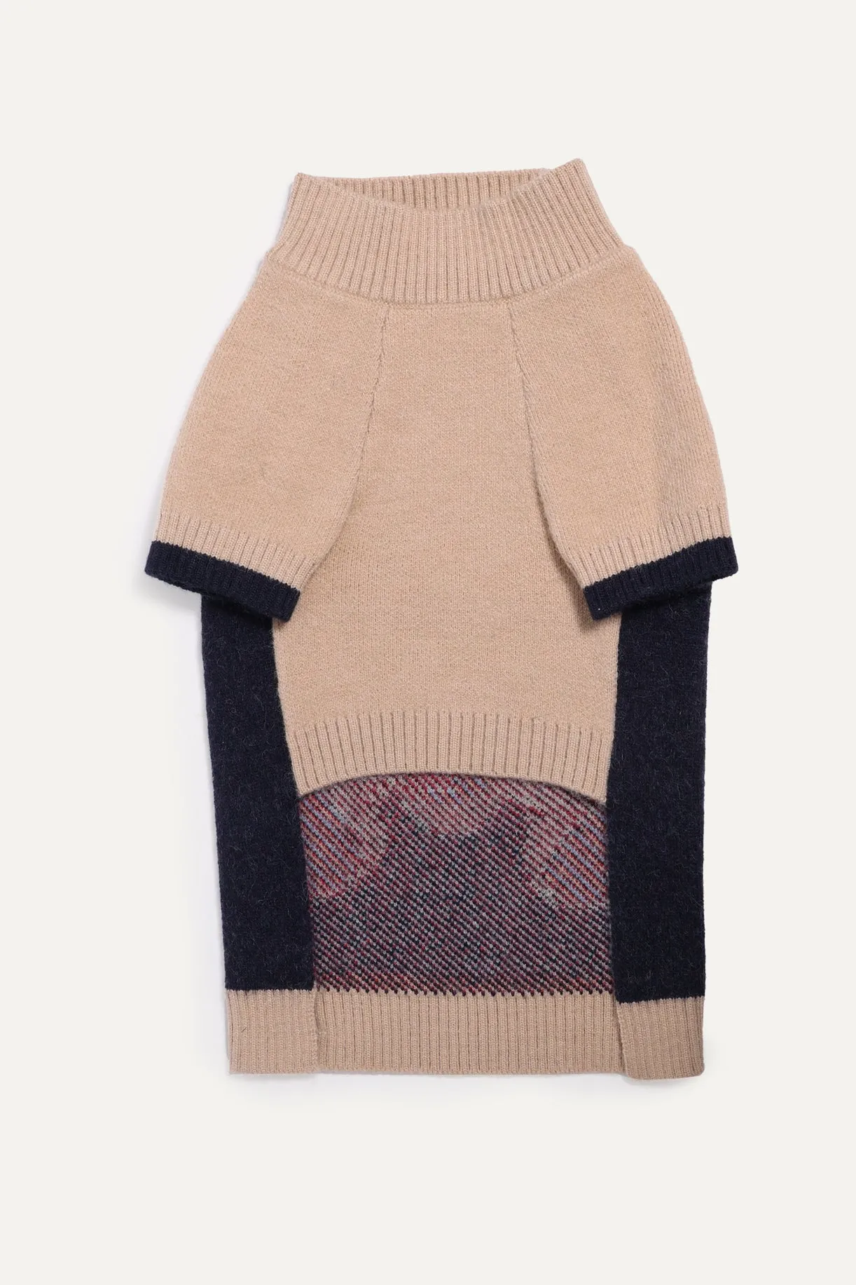 MAXBONE Teddy Raglan Dog Jumper