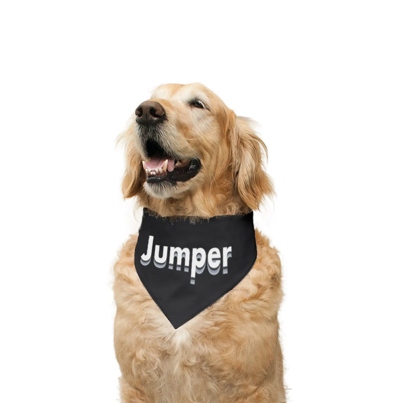 "Jumper" Printed Reversible Bandana for Dogs