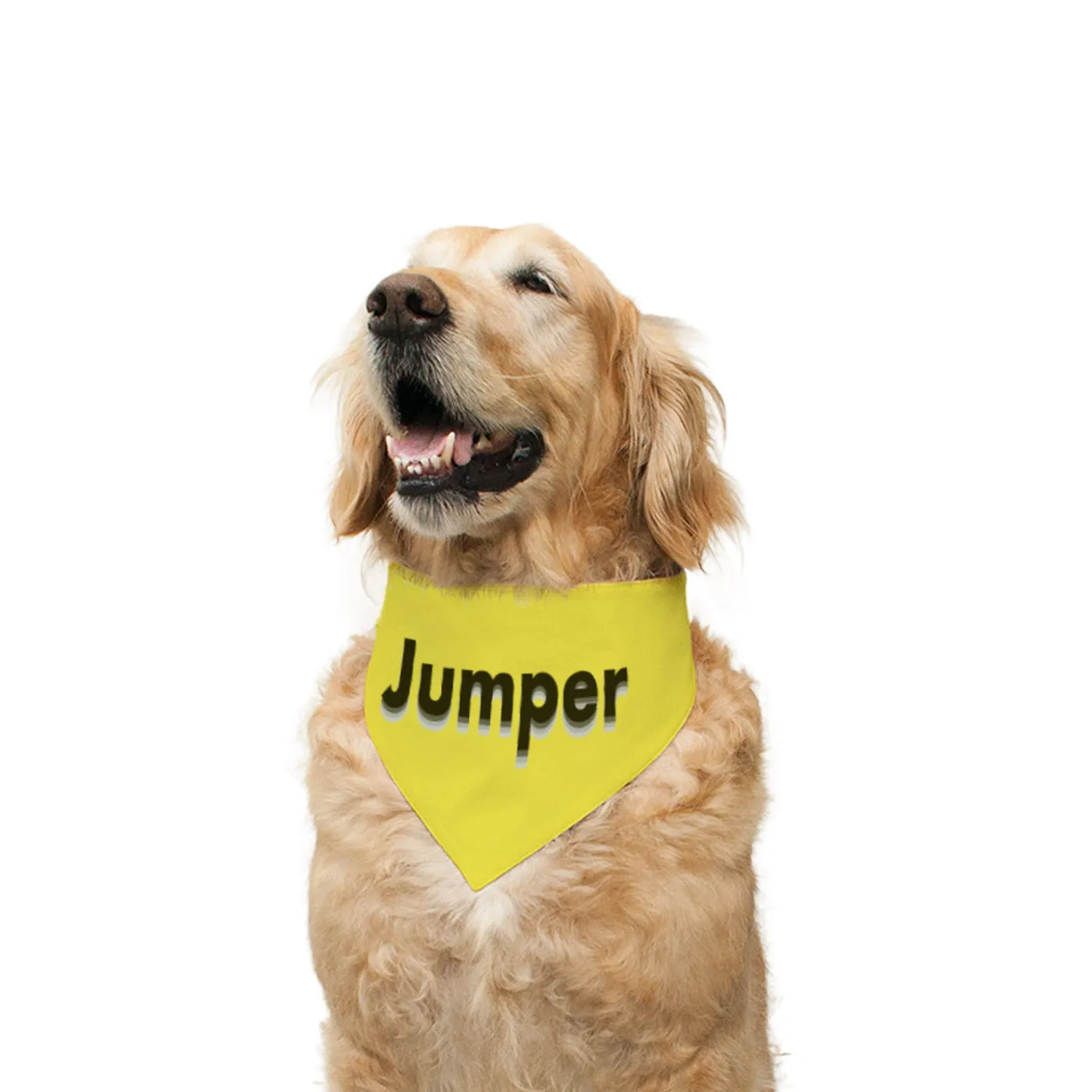 "Jumper" Printed Reversible Bandana for Dogs