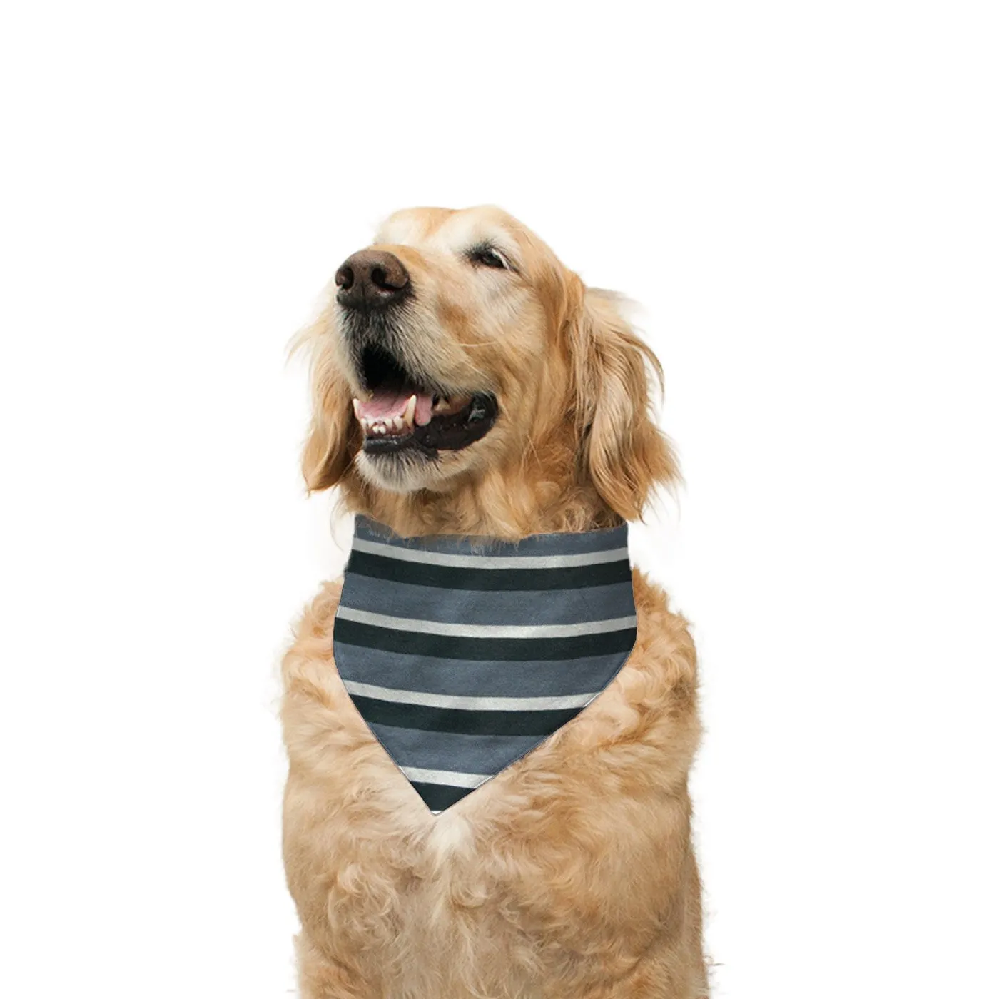 "Jumper" Printed Reversible Bandana for Dogs