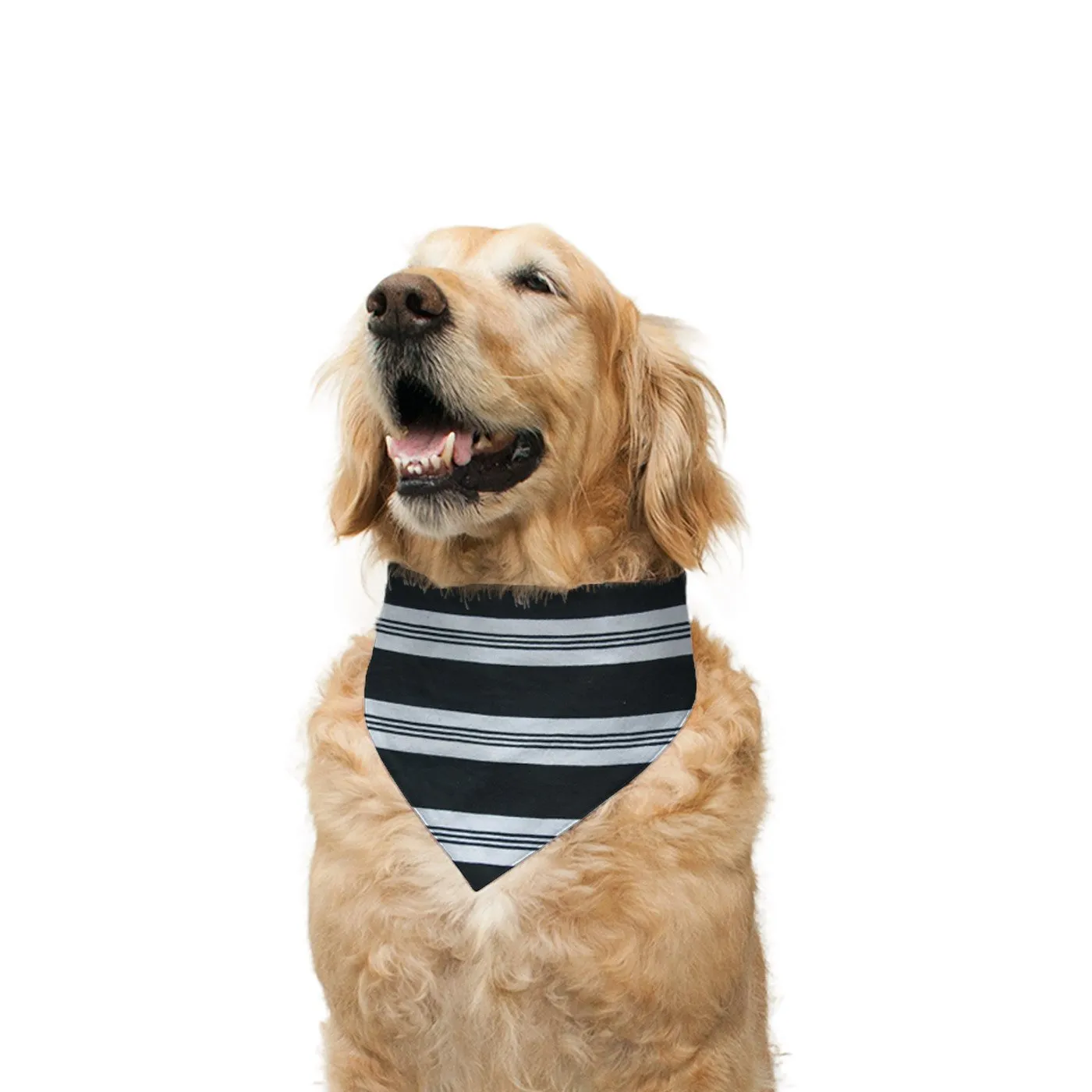 "Jumper" Printed Reversible Bandana for Dogs