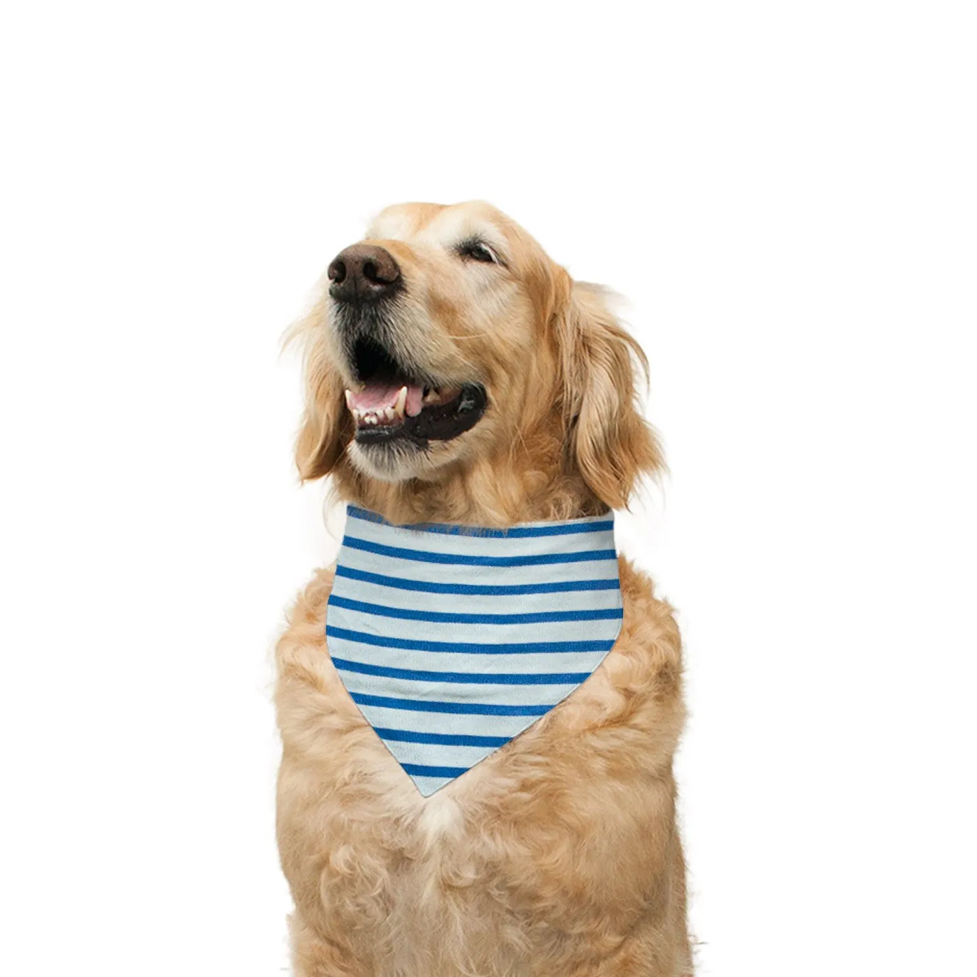 "Jumper" Printed Reversible Bandana for Dogs