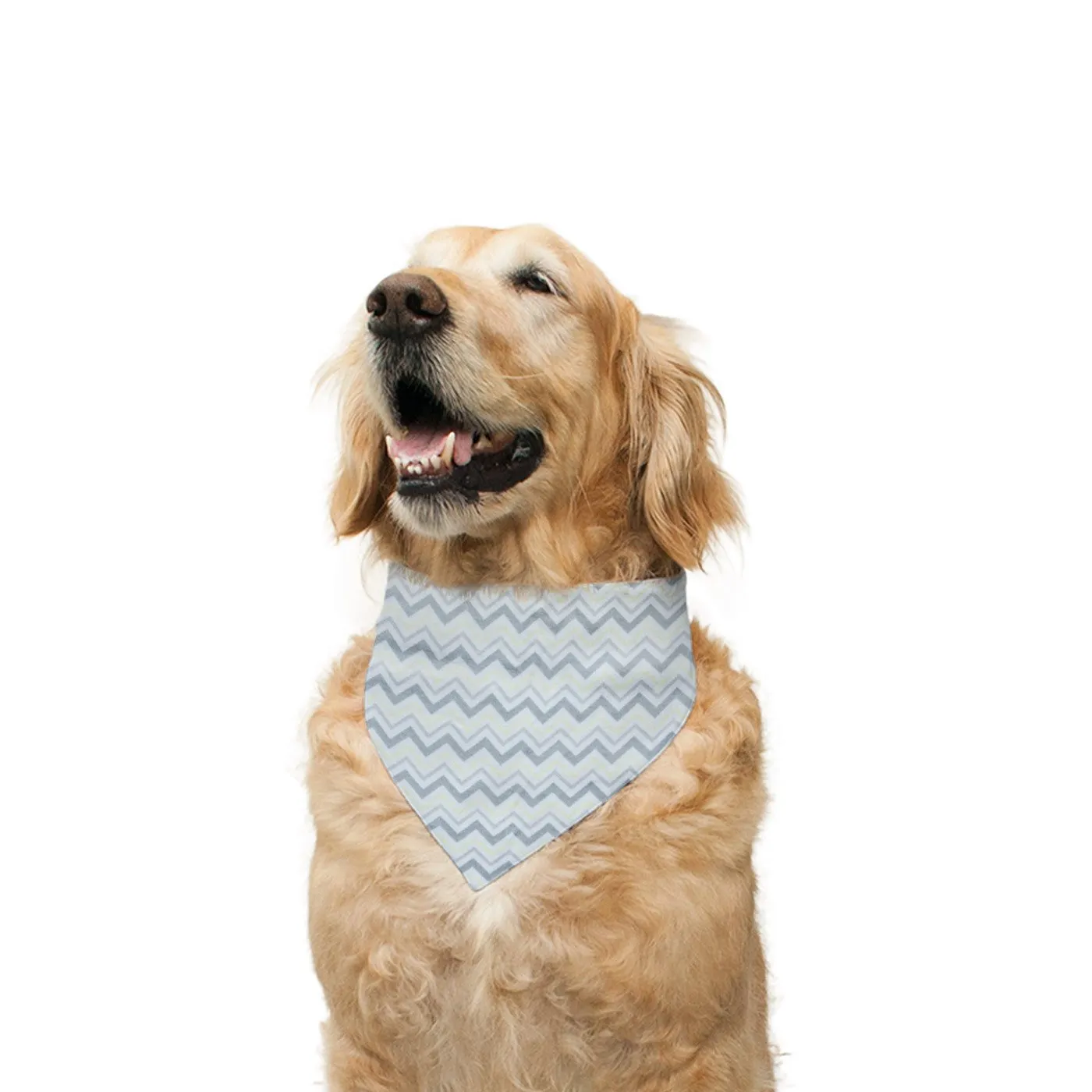 "Jumper" Printed Reversible Bandana for Dogs