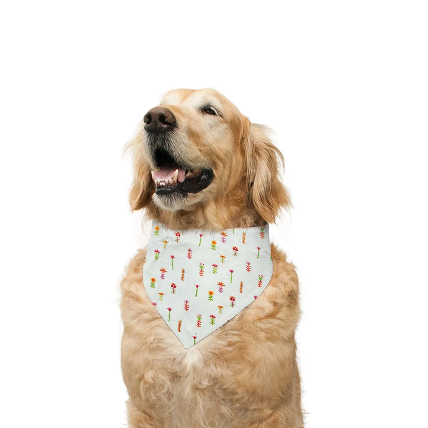 "Jumper" Printed Reversible Bandana for Dogs