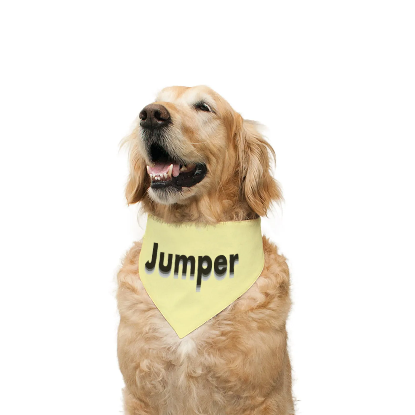 "Jumper" Printed Reversible Bandana for Dogs