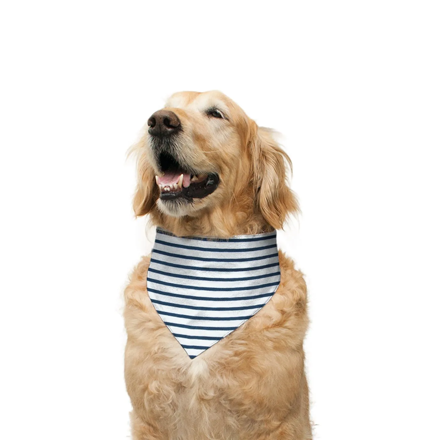 "Jumper" Printed Reversible Bandana for Dogs