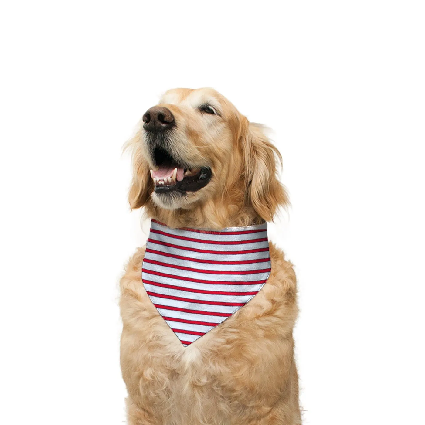 "Jumper" Printed Reversible Bandana for Dogs
