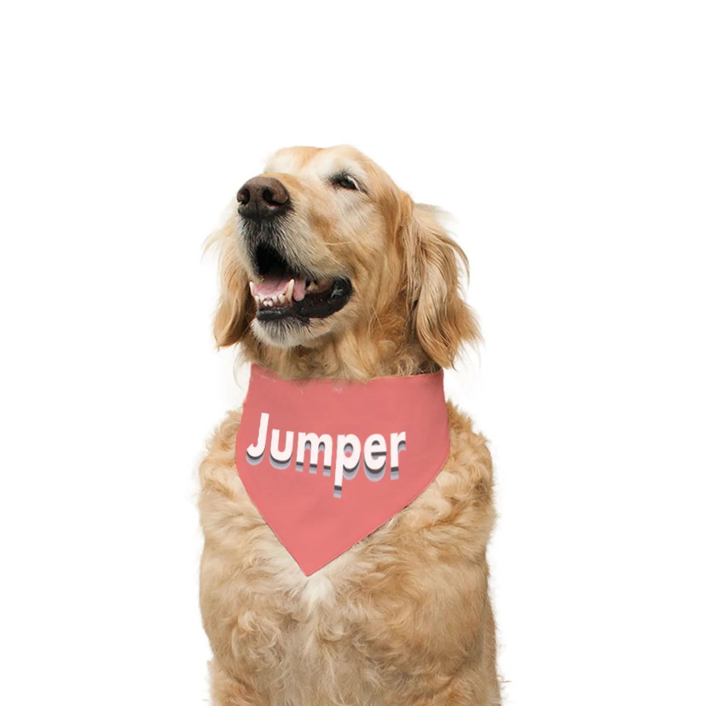 "Jumper" Printed Reversible Bandana for Dogs