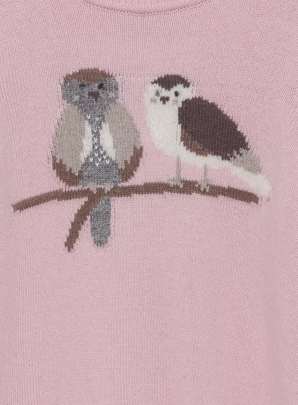Tweetie Bird Jumper