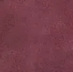 Velour Pant